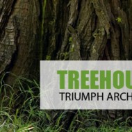 treehouse competition, konkurs na domek na drzewie, domek na drzewie, konkursy dla architektów, architektura krajobrazu, projektowanie krajobrazu, konkurs dla architektów krajobrazu
