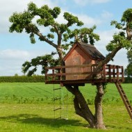 domek na drzewie, projekt ogrodu, plac zabaw