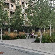 Fuzja Łódź zieleń