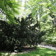 park hutników chorzów