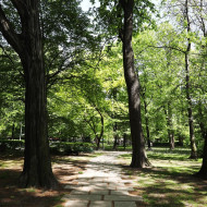 park hutników chorzów