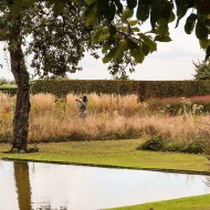 ogród jardin plume