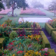 ogród jardin plume