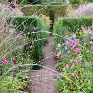 ogród jardin plume