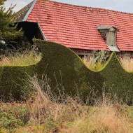ogród jardin plume