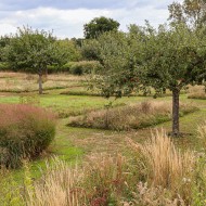 ogród jardin plume