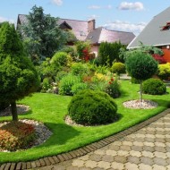 ogród, projekt ogrodu