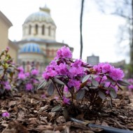 Park Moniuszki w Łodzi