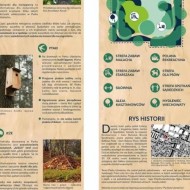 Park kieszonkowy we Wrocławiu