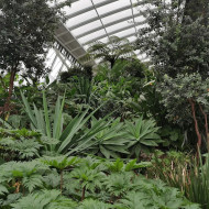najwyżej położony ogród w londynie sky garden