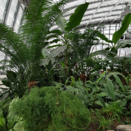 najwyżej położony ogród w londynie sky garden
