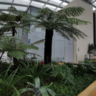 najwyżej położony ogród w londynie sky garden