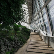 najwyżej położony ogród w londynie sky garden