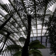 najwyżej położony ogród w londynie sky garden