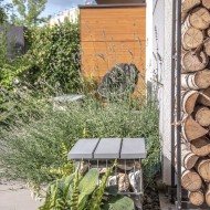 Projekt ogrodu z oczkiem wodnym