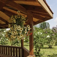 ochrona drewna, ogród, altany ogrodowe, drewniane altany ogrodowe, architektura krajobrazu, ogrody zimowe, impregnat do drewna