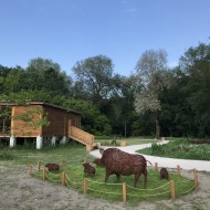 Dolina Wkry, park w pomiechówku
