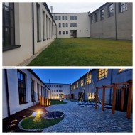 zieleń zakładu pracy NT Industry
