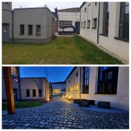 zieleń zakładu pracy NT Industry