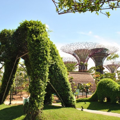 Gardens by the Bay