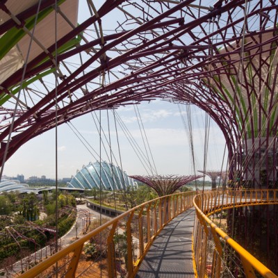Gardens by the Bay w Singapurze 