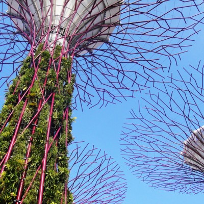 Gardens by the Bay w Singapurze