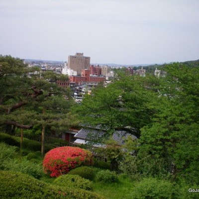 Panorama na ogród