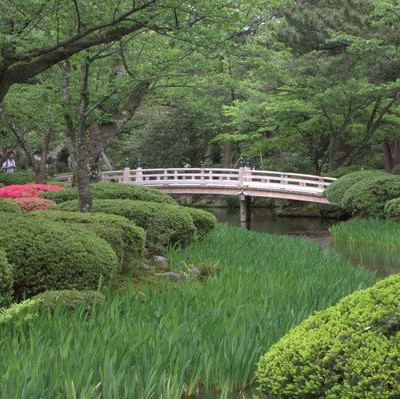 Hanami-bashi – most obserwacji kwiatów