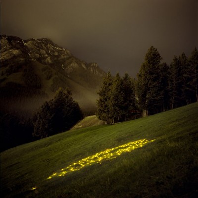 Norquay (Yellow