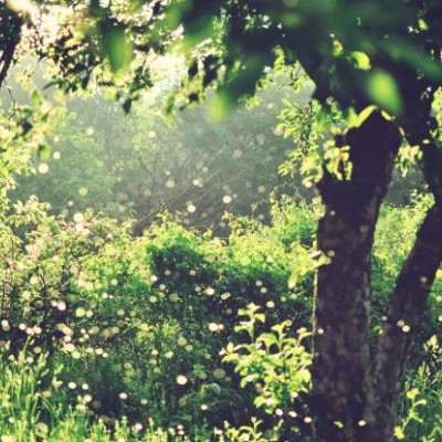 Klimat