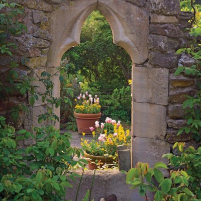 Portal