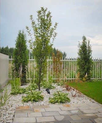 Ogród przydomowy