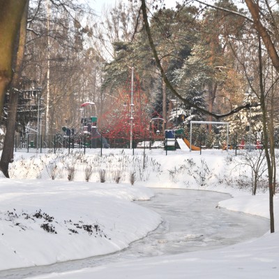 Zimowe ujęcie