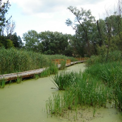 Kładka 