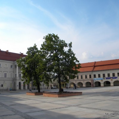 Niewiele zieleni