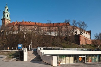 Wawel w tle