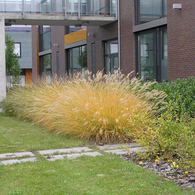 Park Graphisoftu