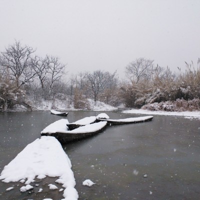 Widok zimowy