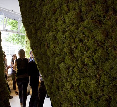 „Moss your city”