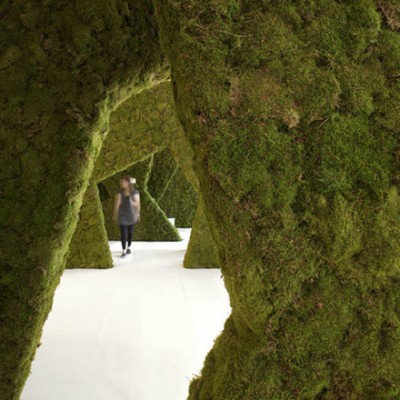 „Moss your city” 