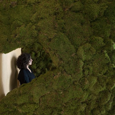 „Moss your city” 