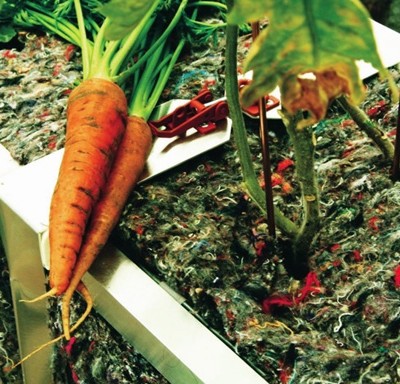 „Urbanbuds”