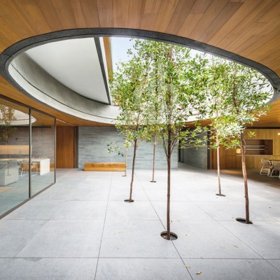 The Wall House