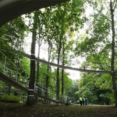 Path in the Forest