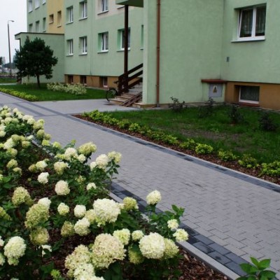 Zieleń przy parkingu