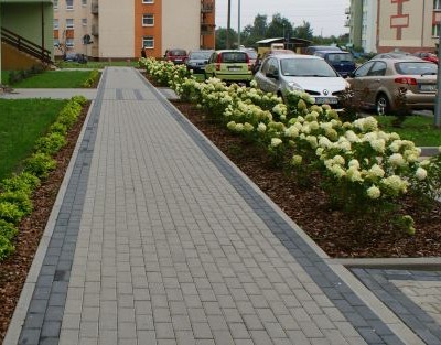 Zieleń przy parkingu