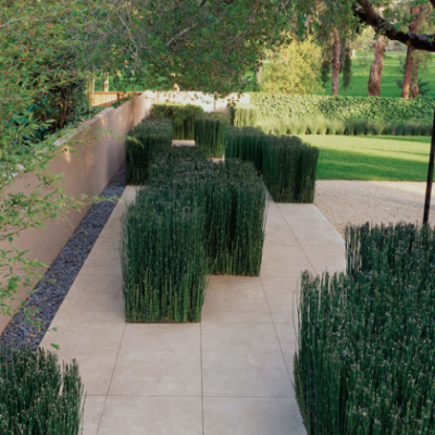 Źródło: Brookvale Residence, Andrea Cochran Landscape Architects | acochran.com