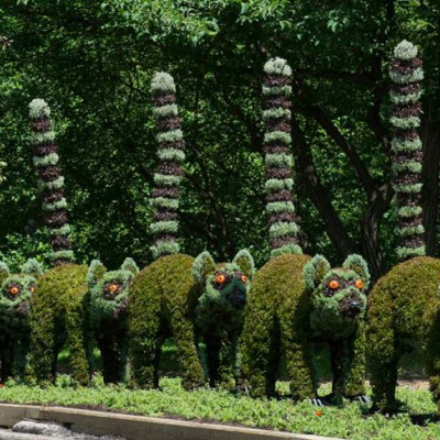 Madagaskar