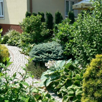 Bujny ogród