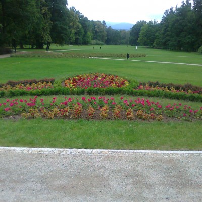 Renowacja Parku Zdrojowego